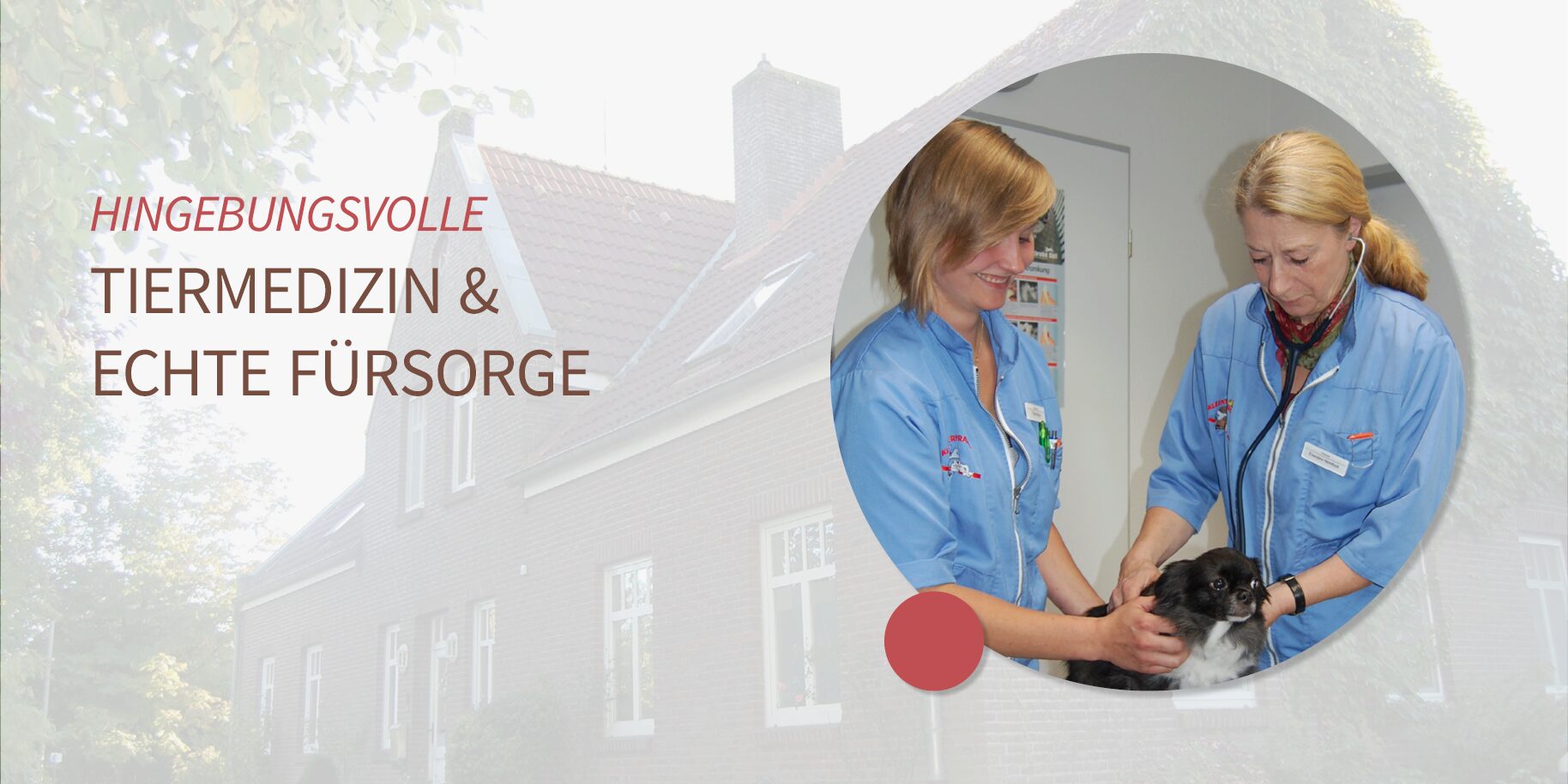 Teaserbild Kleintierpraxis Dr. Ute Weber